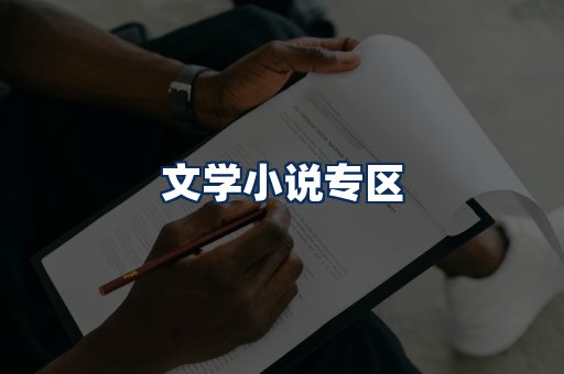 文学小说PDF展示